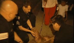 SI61 - Updated/New What Dogs Try to Tell Cops